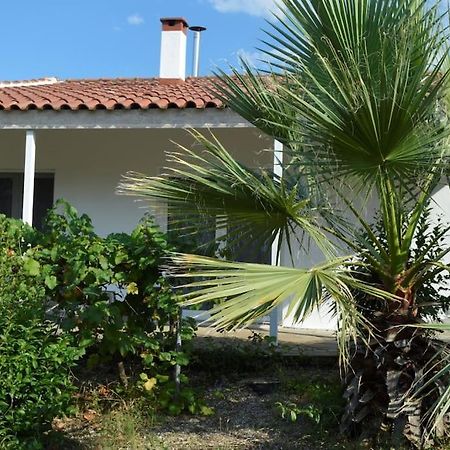 Litochoro Apartment In Estate A1 Bagian luar foto