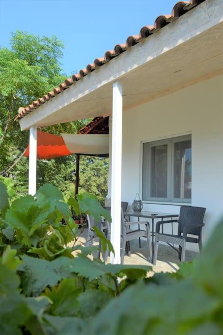 Litochoro Apartment In Estate A1 Bagian luar foto
