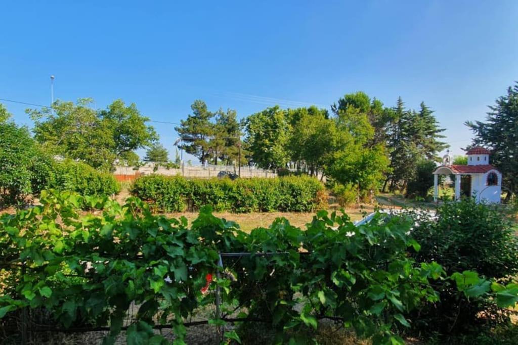 Litochoro Apartment In Estate A1 Bagian luar foto